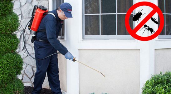 Andırın Hamam Böceği İlaçlama böcek ilaçlama ve haşere kontrolü — ilaclama-tr.com